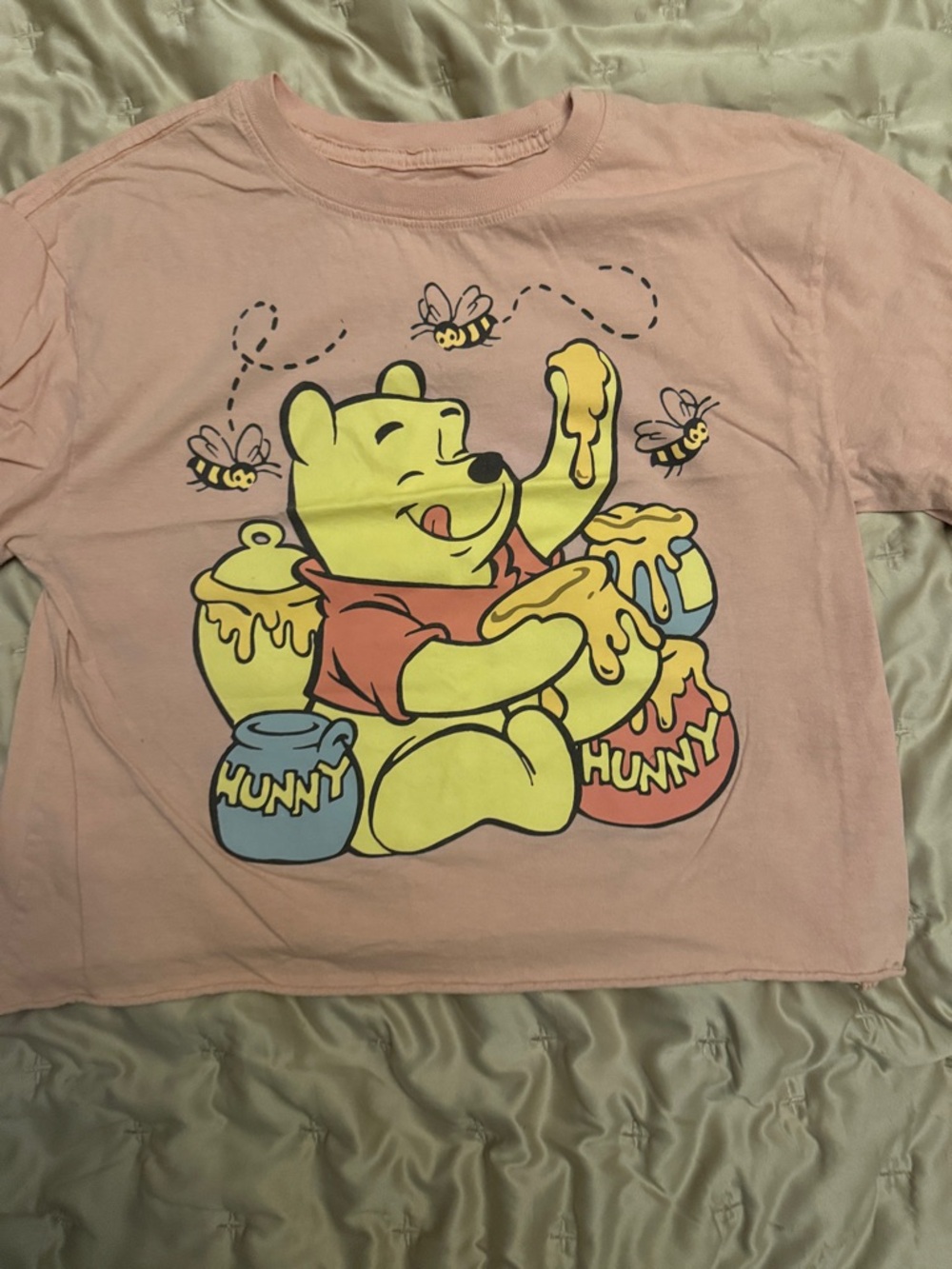 Winnie the Pooh Pink Graphic crop top